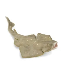 CollectA Angel Shark