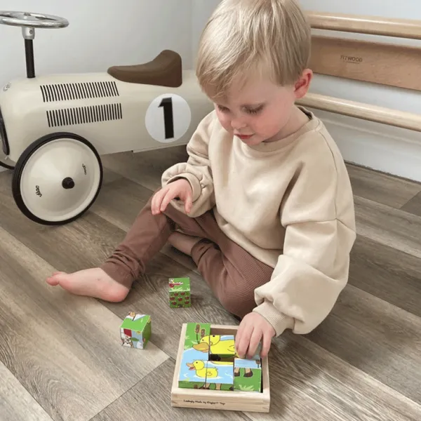 Bigjigs Toys Animal Cube Puzzle