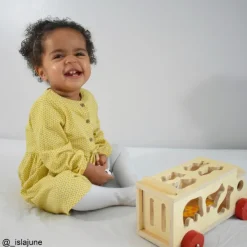 Bigjigs Toys Animal Shape Lorry