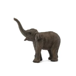 CollectA Asian Elephant Calf