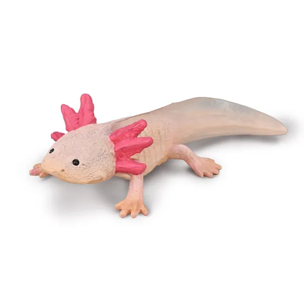 CollectA Axolotl