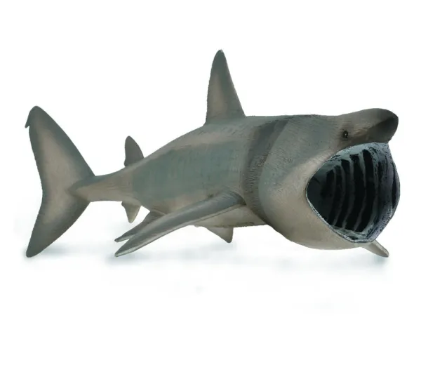 CollectA Basking Shark