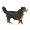 CollectA Bernese Mountain Dog