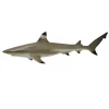 CollectA Blacktip Reef Shark