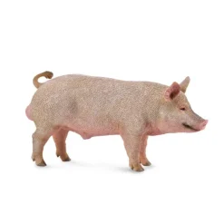 CollectA Boar