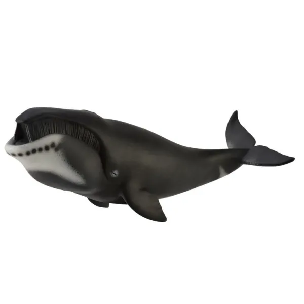 CollectA Bowhead Whale