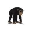 CollectA Chimpanzee Female