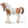 CollectA Chincoteague Pony - Chestnut Pinto