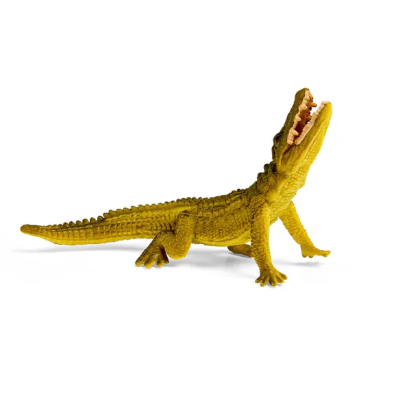 CollectA Box of Mini Reptiles & Amphibians