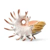 CollectA Cooperoceras
