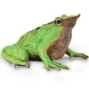 CollectA Darwin's Frog