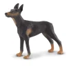 CollectA Doberman Pinscher