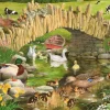 House of Puzzles - OG Duck, Duck, Goose - BIG 250 Piece Jigsaw Puzzle