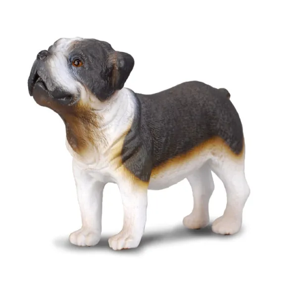 CollectA English Bulldog