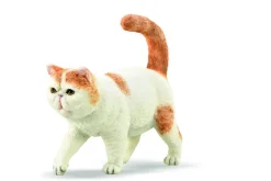 CollectA Exotic Shorthair