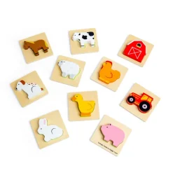 Bigjigs Toys Farm Feel and Find