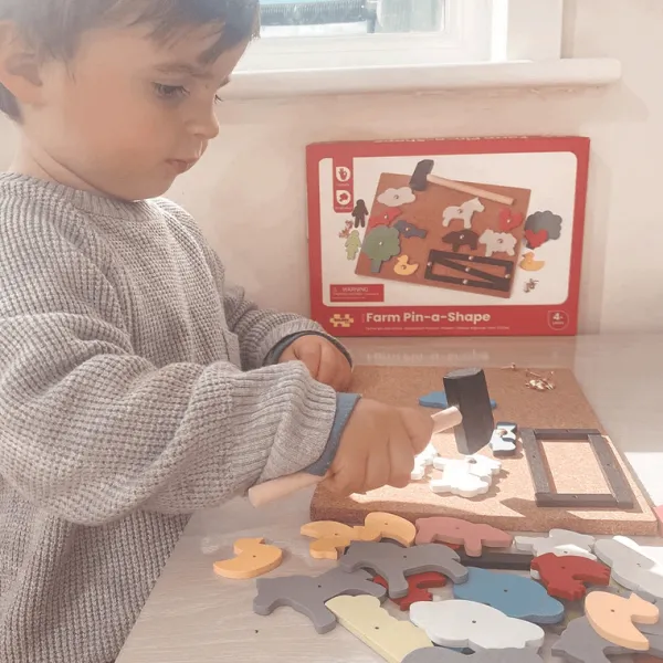 Bigjigs Toys Farm Pin-a-Shape