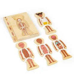 Bigjigs Toys Female Human Anatomy Puzzle