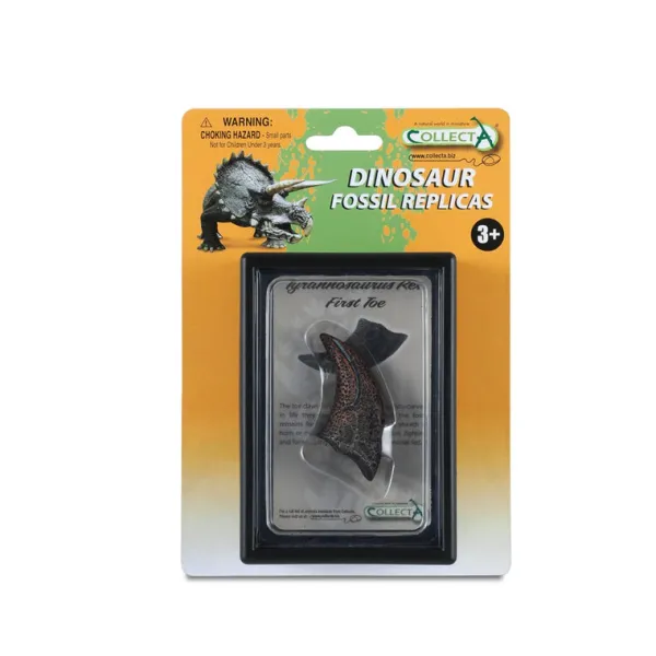 CollectA First Toe Of T-Rex In Display Case