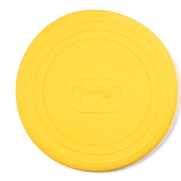 Bigjigs Toys Flexible Flyer (12 colours available)