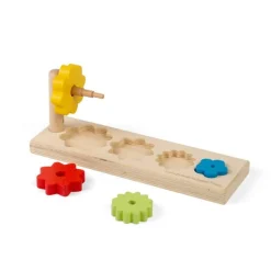Bigjigs Toys Flower Sorter