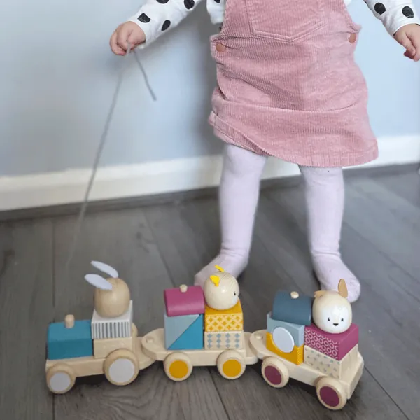 Bigjigs Toys FSC® Certified Activity Pull Along Train