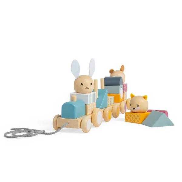 Bigjigs Toys FSC® Certified Activity Pull Along Train