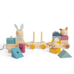 Bigjigs Toys FSC® Certified Activity Pull Along Train