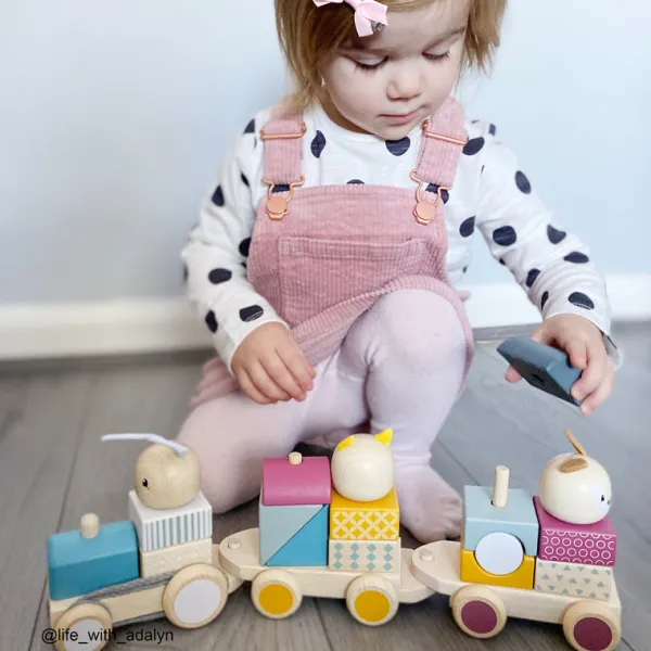 Bigjigs Toys FSC® Certified Activity Pull Along Train