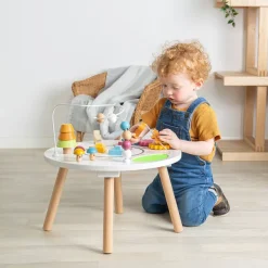 Bigjigs Toys FSC® Certified Animal Activity Table