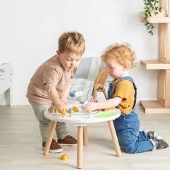 Bigjigs Toys FSC® Certified Animal Activity Table