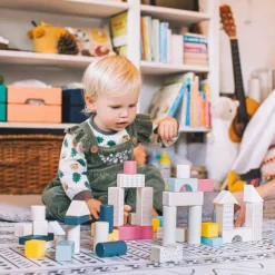 Bigjigs Toys FSC® Certified Drum of 50 Bricks