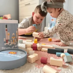 Bigjigs Toys FSC® Certified Drum of 50 Bricks