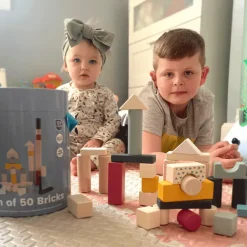 Bigjigs Toys FSC® Certified Drum of 50 Bricks