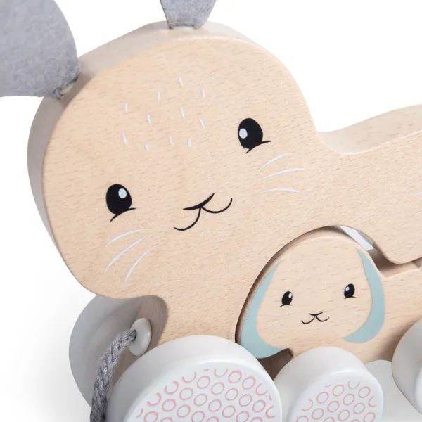 Bigjigs Toys FSC® Certified Pull Along Bunny & Baby