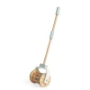 Bigjigs Toys FSC® Certified Push Along Musical Roller