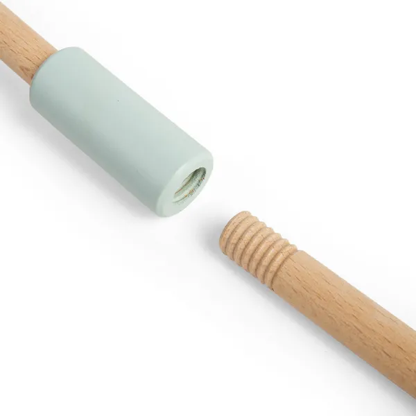 Bigjigs Toys FSC® Certified Push Along Musical Roller