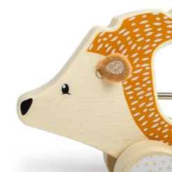 Bigjigs Toys FSC® Certified Push Along Hedgehog
