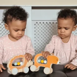 Bigjigs Toys FSC® Certified Push Along Hedgehog