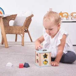 Bigjigs Toys FSC® Certified Shape Sorter