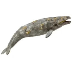 CollectA Gray Whale