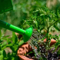 Bigjigs Toys Green Watering Can