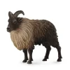 CollectA Himalayan Tahr