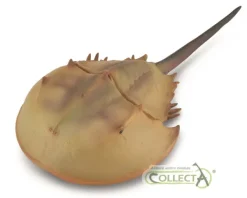 CollectA Horseshoe Crab