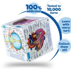 ZooBooKoo Human Body Systems and Statistics Cubebook