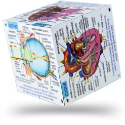 ZooBooKoo Human Body Systems and Statistics Cubebook