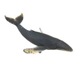 CollectA Humpback Whale