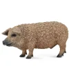 CollectA Hungarian Pig