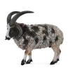 CollectA Jacob Sheep