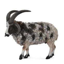 CollectA Jacob Sheep